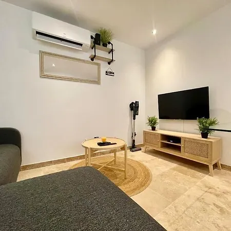 Le Saint-jean - Coeur De La Cite Medievale Apartment